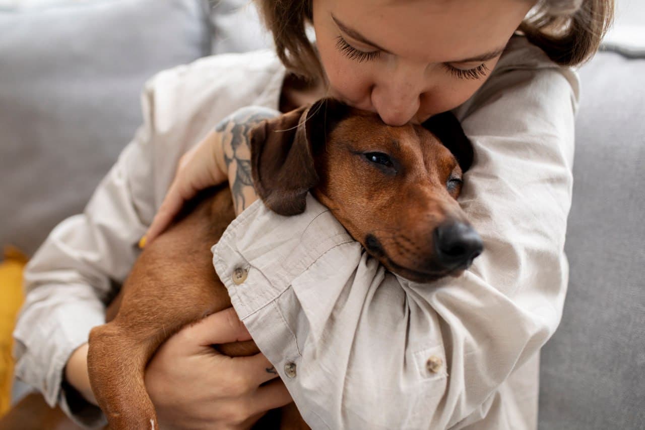 The Silent Victims: Challenges Faced by Domestic Abuse Survivors Escaping with Pets