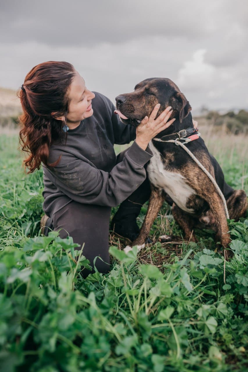 Supporting local shelters