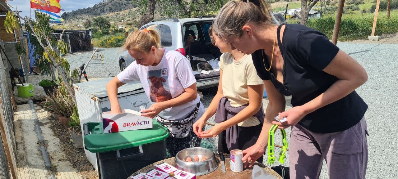 Volunteers preparing food for shelter dogs
